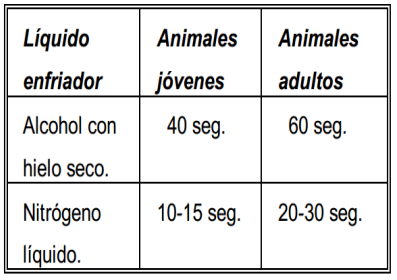 CUADRO 1. TIEMPO DE APLICACIÓN DEL FIERRO FRÍO, SEGÚN EL PRODUCTO UTILIZADO COMO ENFRIADOR DE LOS FIERROS Y LA EDAD DEL ANIMAL.