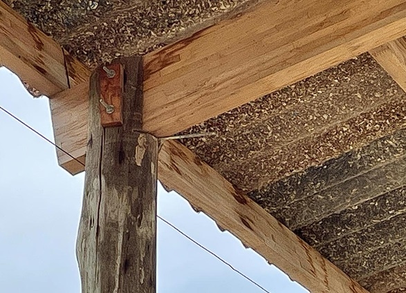 Manejo del ambiente físico para atenuar la producción de calor - Image 10