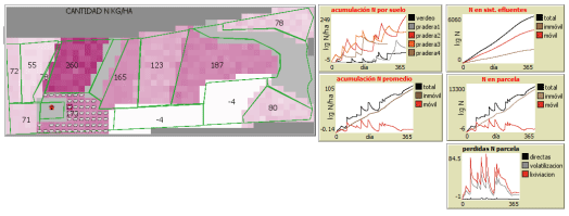 Fig. 2. Captura de pantalla del ABM luego de un año de simulación, considerando todos los componentes del balance de N.