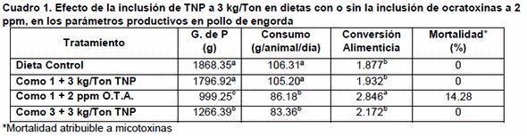 Eficacia de un aditivo de última generación contra micotoxinas en la reducción del impacto negativo de ocratoxina A en pollos de engorda - Image 1