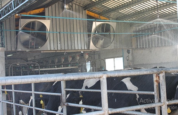 Manejo del ambiente físico para atenuar la producción de calor - Image 9