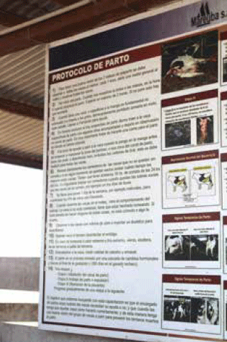 CRIANZA - Registros y protocolos - Image 1