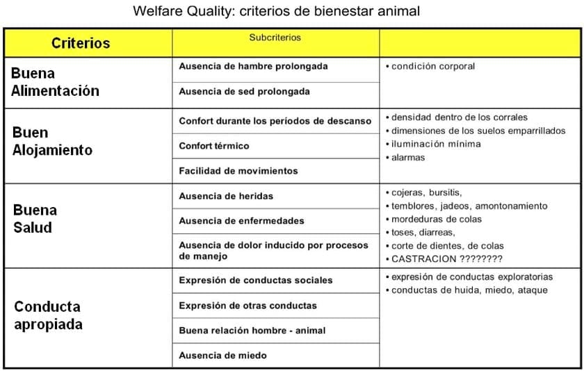 Puntos básicos sobre Bienestar Animal - Image 1