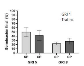 Figura 1. Porcentaje final de germinación de semillas de alfalfa cosechadas en el año de implantación en función del GRI y tipo de tratamiento pre germinativo. Ref.: SP=sin prechilling; CP=con prechilling; ns=no significativo. Sólo existió efecto significativo (*) del GRI.