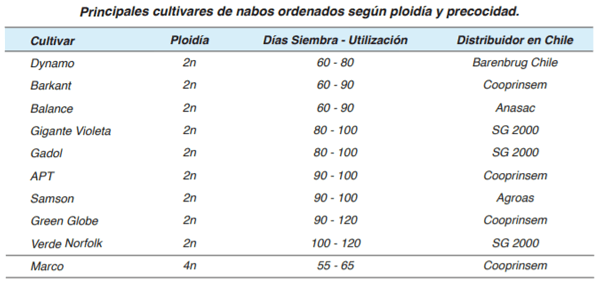 FORRAJERAS - Forrajes suplementarios - Image 47