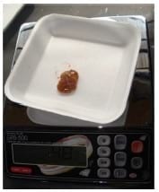 Efecto del consumo de alimento en harina durante las primeras horas De vida del pollo de engorda sobre el saco vitelino - Image 3