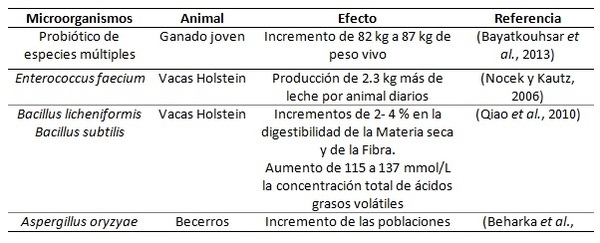 Aditivos microbianos como alternativa para mejorar la productividad del ganado - Image 1