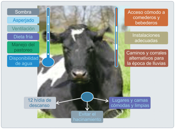 Medidas para prevenir el estrés ocasionado por el calor, el barro y la falta de descanso.