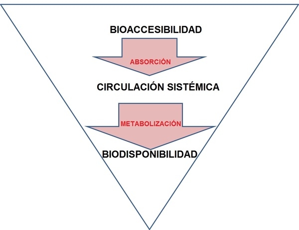 ¿Todas las fuentes de zinc se absorben de la misma manera? - Image 1