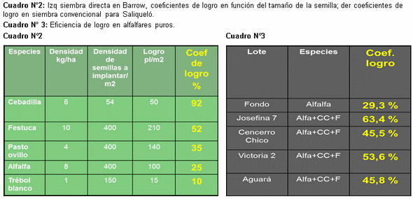 Claves para lograr una pastura exitosa desde el inicio - Image 6
