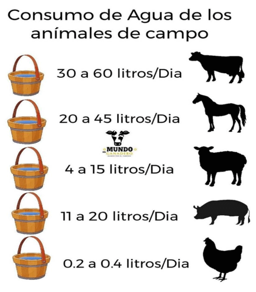 BOTERO - MANEJO DE LA VACA, DE LA BÚFALA Y DE SUS CRÍAS EN EL SISTEMA DE DOBLE PROPÓSITO EN AMÉRICA TROPICAL - Image 2