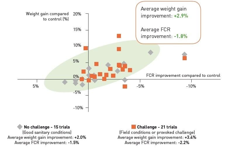 Efecto de fitoestimulantes con fosfitos y mezcla de fungicidas sobre aspectos morfológicos del trigo (Triticum aestivum), mancha amarilla (Pyrenophora tritici-repentis) y componentes de rendimiento del cultivo - Image 5
