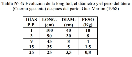 Obstetricia y neonatología bovina: XII Puerperio Nomal - Image 1