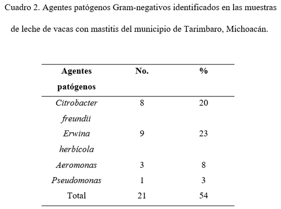 Etiología de la mastitis en ganado lechero - Image 2