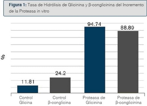 Los lechones también tienen alergias - Image 1