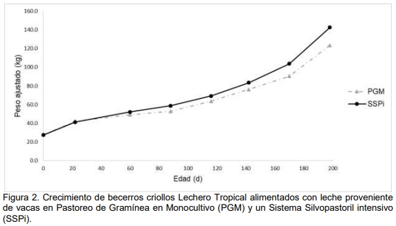 Crecimiento pre-destete en becerros criollos lechero tropical con leche proveniente de un sistema silvopastoril intensivo - Image 1