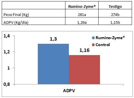 Rumino-Zyme® en dietas de vaquillonas en terminación - Image 1