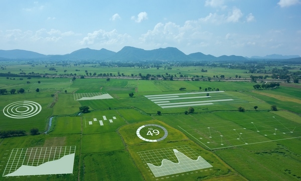 Campos inteligentes, procesos de producción eficientes - Image 1
