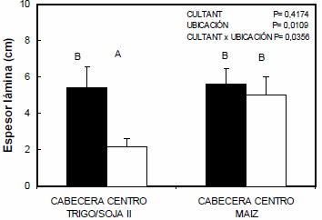 Condición estructural superficial de los suelos bajo siembra directa: Caracterización y génesis - Image 5