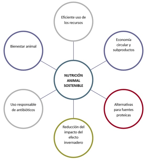 Nutrición animal inteligente, futuro sostenible - Image 1
