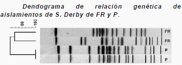 Subtipos genéticos de Salmonella en cachorras y su futura progenie - Image 1