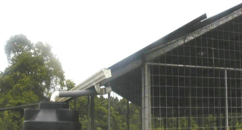 FOTOGRAFÍA 19. Captación, ingreso parcial dentro del corral y almacenamiento del agua lluvia restante, con ayuda de las láminas del techo y de una canal en PVC, conectada con tubería de PVC dentro de un tanque plástico elevado y localizado bajo el techo del corral. FUENTE: Raúl Botero Botero, 2010.