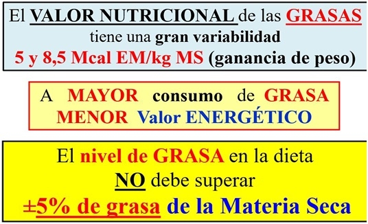 6° MITO ¿MÁSGRASAESMÁSENERGÍA? ¿Es cierto que cuando los Concentrados o Subproductos de agroindustria (proteicos o energéticos), tienen “altos niveles de grasa” generan más energía en vacunos, tanto para producir carne o leche? ¿Y eso es muy bueno? - Image 2