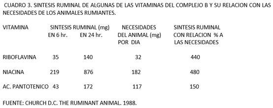 Nutrición Mineral - Image 3