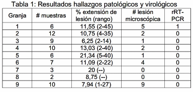 Vigilancia de la infección por virus de influenza en cerdos faenados. Resultados preliminares - Image 1