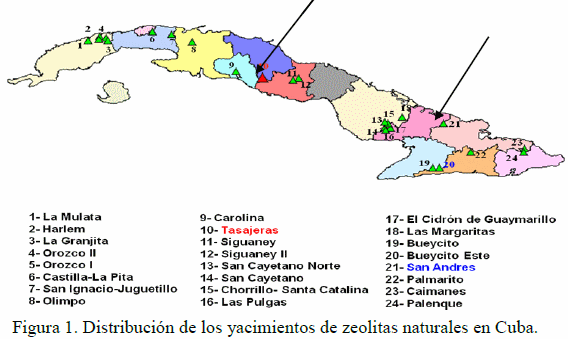 En el siglo del mineral, 40 años de estudios en el empleo de la zeolita, mineral del siglo en la ciencia animal - Image 2