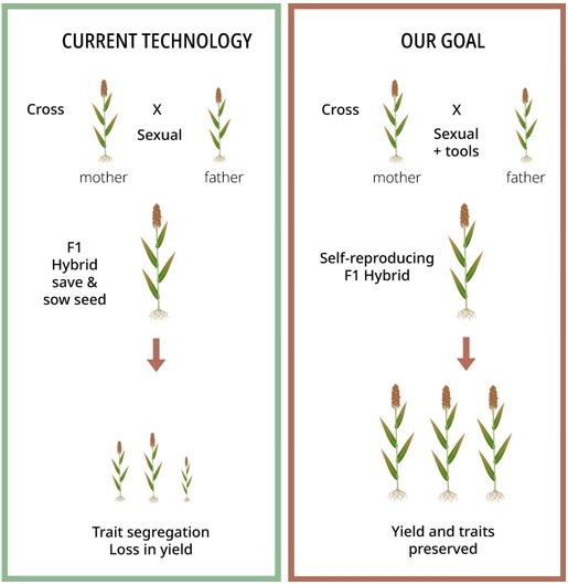El proyecto de Hy-Gain - Image 2