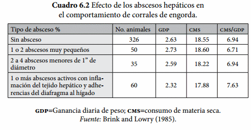 Acidosis: ¿Principal problema metabólico en engorda? - Image 2