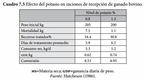 Programas de Recepción - Image 5