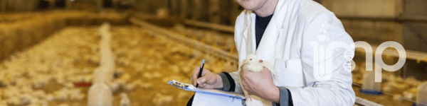 Monolaurina como Alternativa a los Antibióticos en la Producción - Image 1