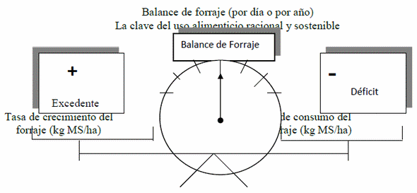 Planeación de la producción animal con base al crecimiento estacional de los pastos - Image 3