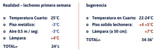Consideraciones en la sobrevivencia de lechones recién nacidos - Image 1