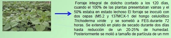 Harina de forraje integral de Lablab purpureus (dolicho) biotransformada y su efecto en la fisiología digestiva y salud de pollos de ceba - Image 1