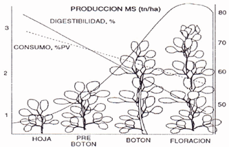 Utilización de recursos forrajeros - Image 2