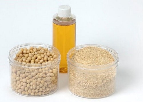 Beneficios de las dietas de alto contenido graso: Recomendaciones - parte 5 - Image 1