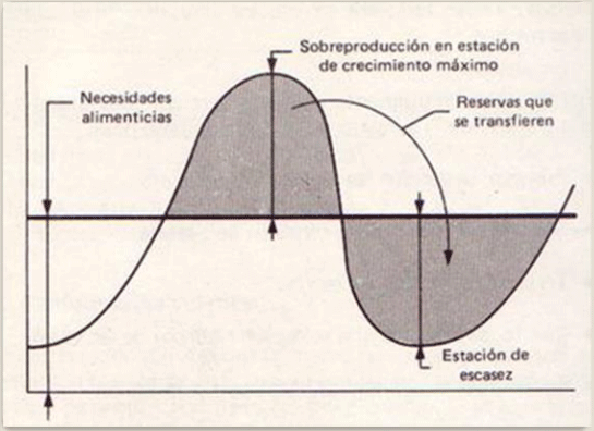 BOTERO - CAPÍTULO IX PASTOREO RACIONAL INTENSIVO VOISIN UNA OPCIÓN PARA INTENSIFICAR Y HACER MÁS AMIGABLE CON EL AMBIENTE LA PRODUCCIÓN CON RUMIANTES EN PASTOREO EN EL TRÓPICO - Image 29