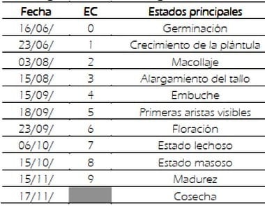 Efecto de fitoestimulantes con fosfitos y mezcla de fungicidas sobre aspectos morfológicos del trigo (Triticum aestivum), mancha amarilla (Pyrenophora tritici-repentis) y componentes de rendimiento del cultivo - Image 3