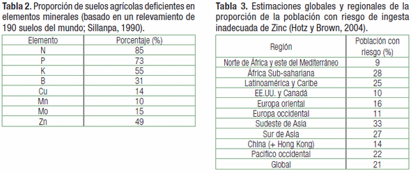 Fertilizar los cultivos para mejorar la Salud Humana: Un estudio científico - Image 2