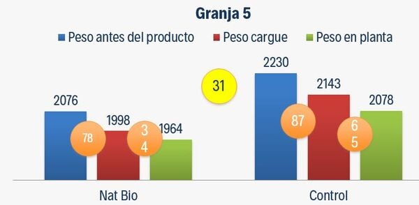 Caso de éxito en Pollo de Engorde Natbio Balance - Image 6