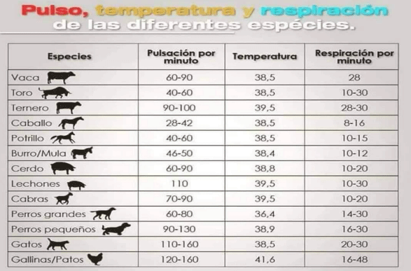 BOTERO - CAPÍTULO X: SANIDAD ANIMAL PARA VACUNOS Y BÚFALOS MANEJO SANITARIO PREVENTIVO, CURATIVO, RACIONAL Y RESPONSABLE DE VACUNOS Y DE BÚFALOS EN PASTOREO EN AMÉRICA TROPICAL - Image 1