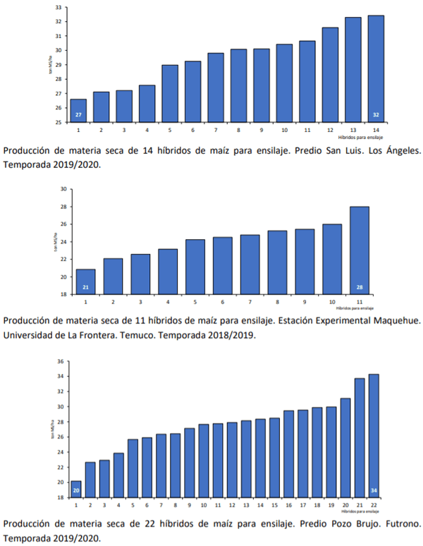 Manual del cultivo de maíz para ensilaje - Crecimiento y producción: Quinto Capítulo - Image 2