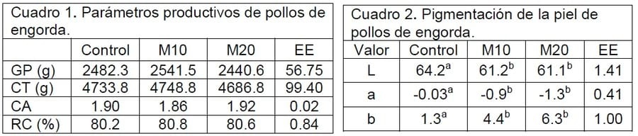 Evaluación de la inclusión de la hoja Moringa oleifera sobre parámetros productivos y color de piel de pollos de engorda - Image 1