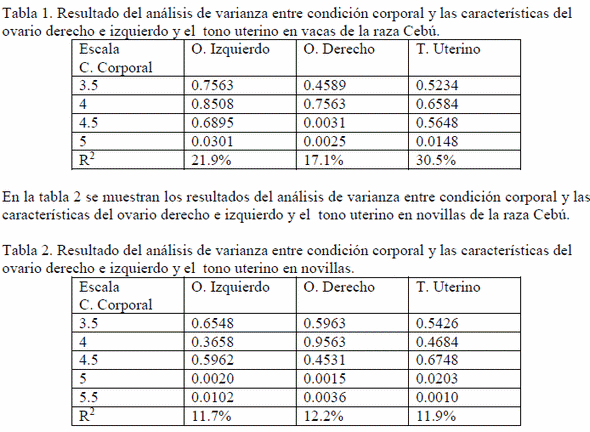 Importancia de la condición corporal (CC) en relación de la función ovárica y el tono uterino en hembras de la raza Cebú - Image 1