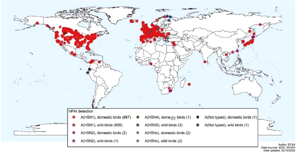 El Desafío más Peligroso en la Industria Avícola: Influenza Aviar. Actualizado el 05/01/2023) - Image 9