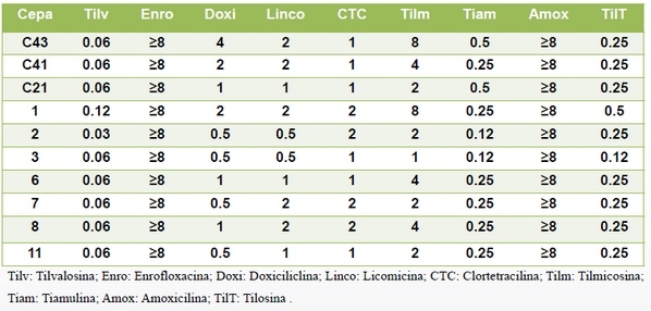 Susceptibilidad antibiótica in vitro de cepas argentinas de mycoplasma synoviae aisladas de gallinas de postura comercial - Image 1