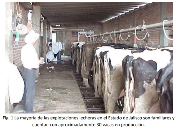 Factores que influyen sobre la salud de la ubre. - Image 1